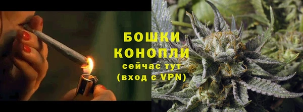 твердый Горнозаводск