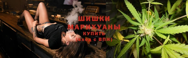 spice Вяземский