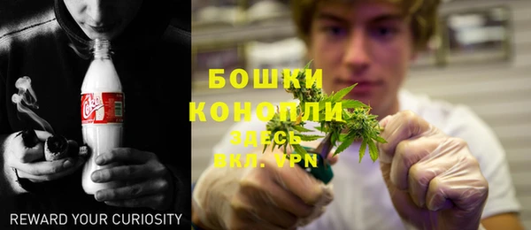 прущие грибы Вязники