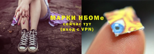 прущие грибы Вязники