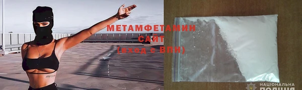 прущие грибы Вязники