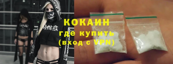 прущие грибы Вязники