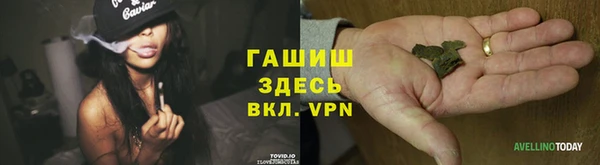 spice Горняк