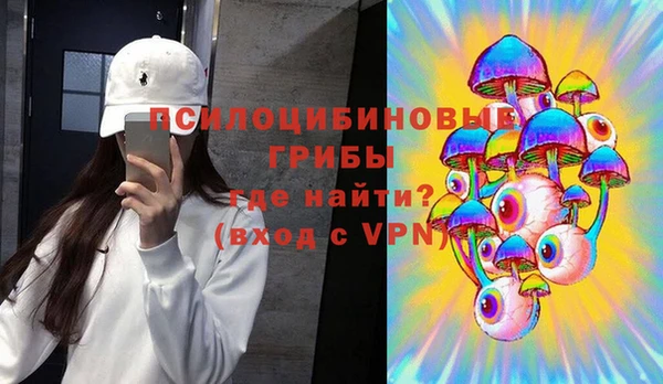 spice Вяземский
