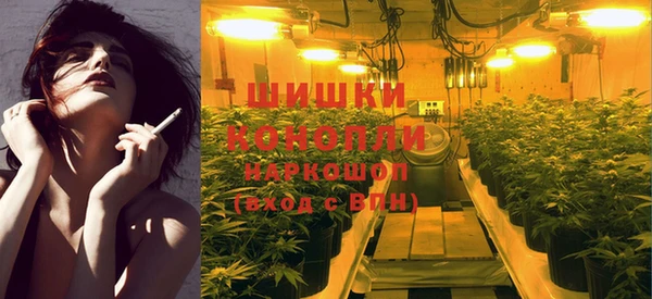 spice Вяземский