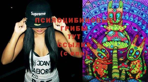 spice Вяземский