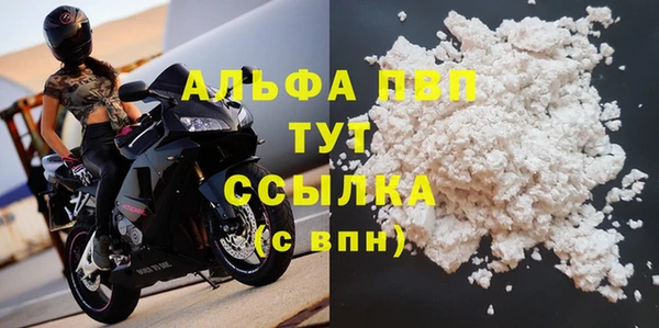 spice Вяземский
