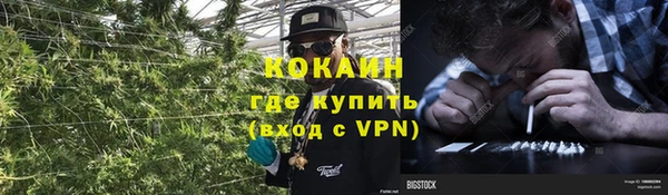 прущие грибы Вязники