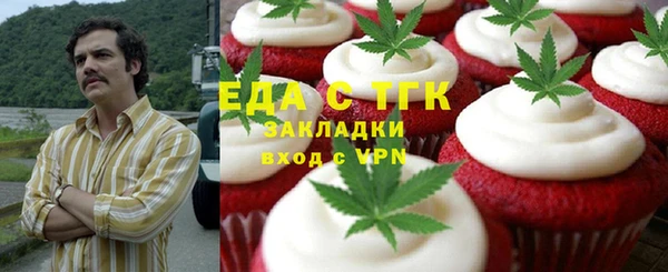 прущие грибы Вязники